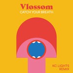 cover: Vlossom - Catch Your Breath (KC Lights Remix)