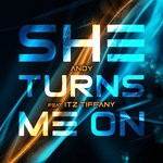 cover: Andy|Itz Tiffany - She Turns Me On