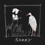 cover: Tors - Sorry