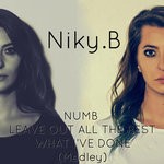 cover: Niky.b - Numb-leave Out All The Rest-what I've Done