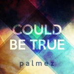 cover: Palmez - Could Be True