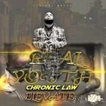 cover: Chronic Law - Real Youth