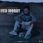 cover: Don Pree - Nuh Worry