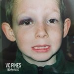 cover: Vc Pines - Skully