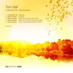 cover: Torn Sail - A Beautiful Life/Disconnected