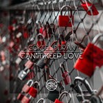 cover: Goksel Duran - Can't Keep Love