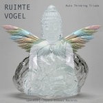 cover: Ruimte Vogel - Auto Thinking Triade