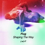 cover: Flug - Shaping The Way