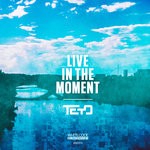 cover: Teyo - Live In The Moment