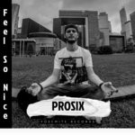 cover: Prosix - Feel So Nice