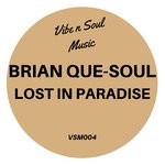 cover: Brian Que-soul - Lost In Paradise