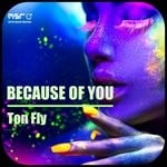 cover: Ton Fly - Because Of You