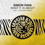 cover: Simon Fava - What It Is About