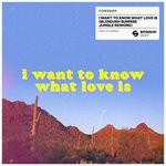 cover: Foreigner - I Want To Know What Love Is (BLOND:ISH Sunrise Jungle Rework)