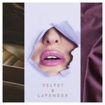 cover: Armr - Velvet & Lavender