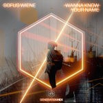 cover: Sofus Wiene - Wanna Know Your Name (Extended Version)