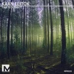 cover: Kaan Elitok - Think Tech/Impact