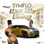 cover: Symflo - How We Living