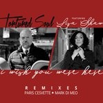 cover: Lisa Shaw|Tortured Soul - I Wish You Were Here (Remixes)