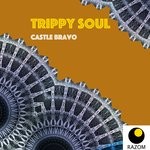 cover: Trippy Soul - Castle Bravo