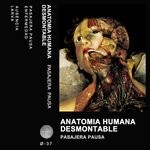 cover: Anatomia Humana Desmontable - Pasajera Pausa