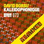 cover: David Borsu - Kaliedophonique Remixed