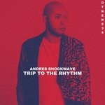 cover: Andres Shockwave - Trip To The Rhythm