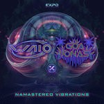 cover: Waio, Goa Jonas - Namastereo Vibrations