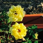 cover: Various - Spring 2020 Artifacts Collection (Radio Edits)