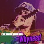 cover: Whyneed - Best Of Whyneed