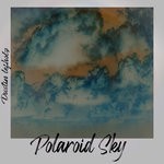 cover: Dustin Lefholz - Polaroid Sky