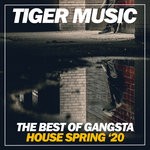 cover: Various - The Best Of Gangsta House Spring '20