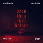 cover: Marshmello|Southside|Saint Jhn - Been Thru This Before