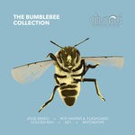 cover: A21|Antdadope|Colossi Rah|Jesse Bravo|Roy Havens & Flashgang - The Bumblebee Collection