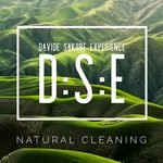 cover: D:s:e - Natural Cleaning