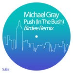 cover: Michael Gray - Push