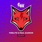 cover: Firelite|Paul Gannon - Burn (Extended Mix)