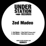 cover: Zed Madeo - I Can Feel It