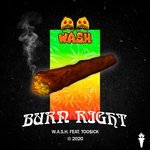 cover: Too$ick|Wash - Burn Right