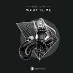 cover: Sam Junk - What Is Me