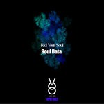 cover: Soul Data - Feel Your Soul