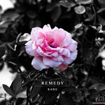 cover: Motives - Remedy