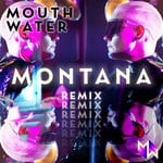 cover: Mouth Water - Montana