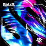 cover: Adrian Monteiro - Feels Like