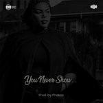 cover: Nuzu Deep - You Never Show