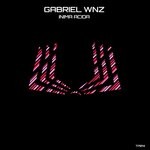 cover: Gabriel Wnz - Anima Acida