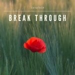 cover: Zanplace - Break Through