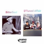 cover: Bittersoul|D'tuned Affair - Never Again