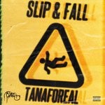 cover: Tana Foreal - Slip & Fall