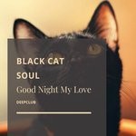 cover: Black Cat Soul - Good Night My Love